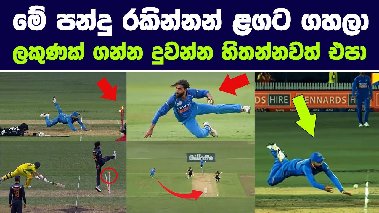 මේ පන්දු රකින්නන් ළගට ගහලා ලකුණක් ගන්න දුවන්න හිතන්නවත් එපා | Best Run Outs