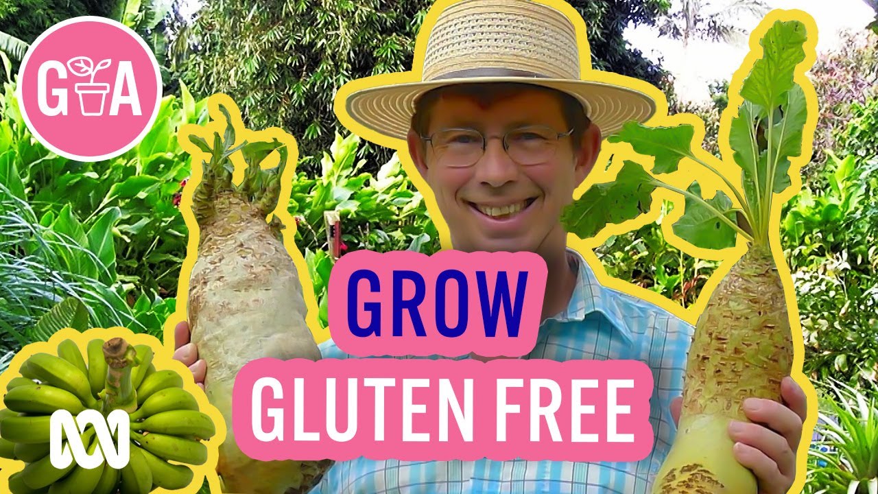 Gluten Free Carbs to Grow at Home! | Growing Fruit and Vegies | Gardening Australia