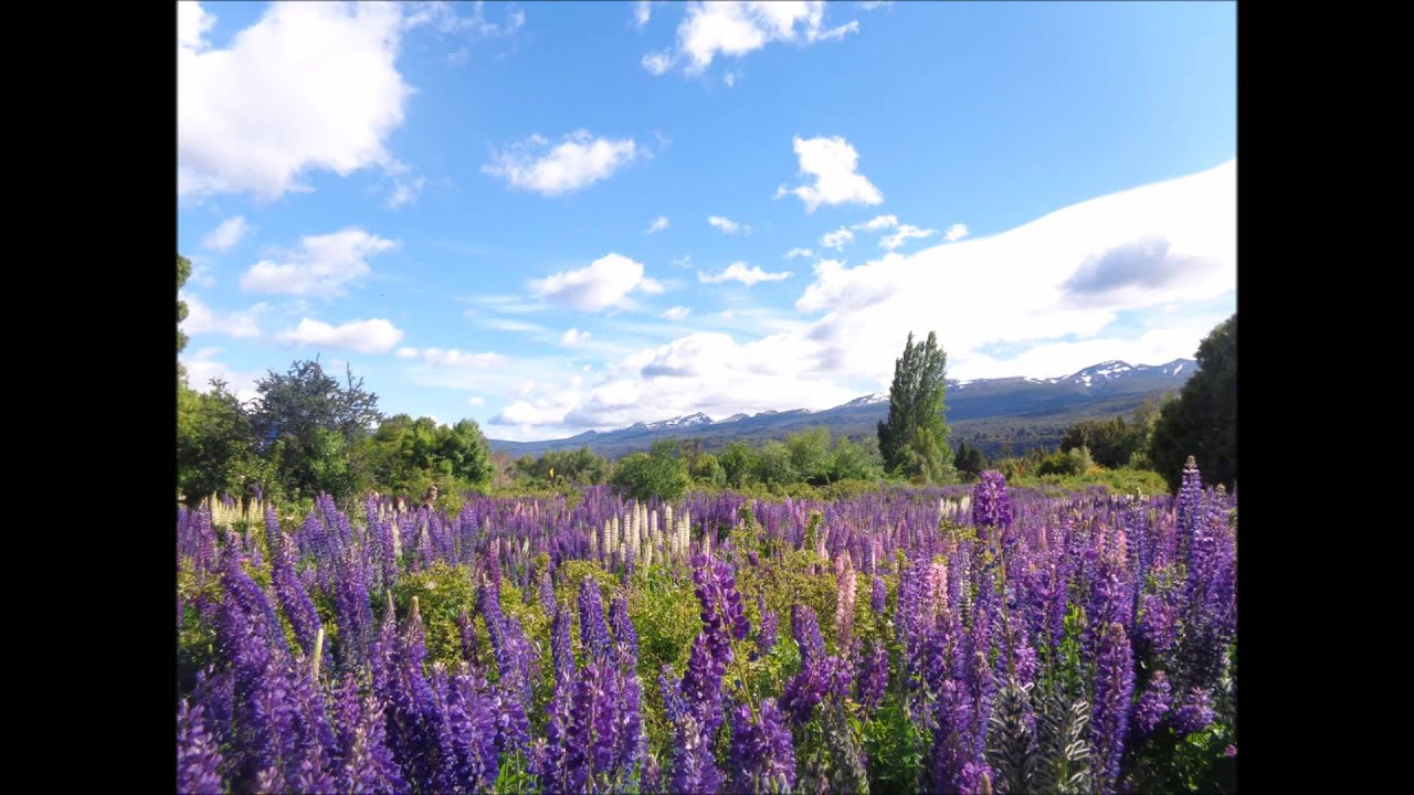 My exchange Year Argentina 14/15