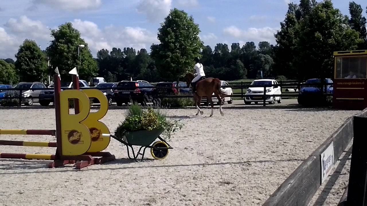 Competition manege beukers 17/07/16 karin