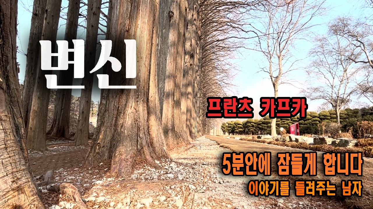 5분안에 잠드는 이야기...변신 프란츠 카푸카 이들남 책읽어주는 남자 오디오북 수면영상 듣기만 하면 스르르 잠이오는 이야기