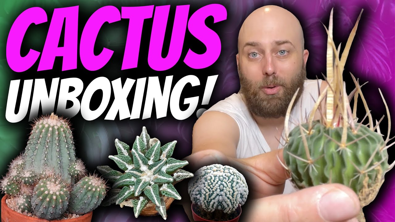 18 Cacti That Will Blow Your Mind! | Rare Cactus Unboxing