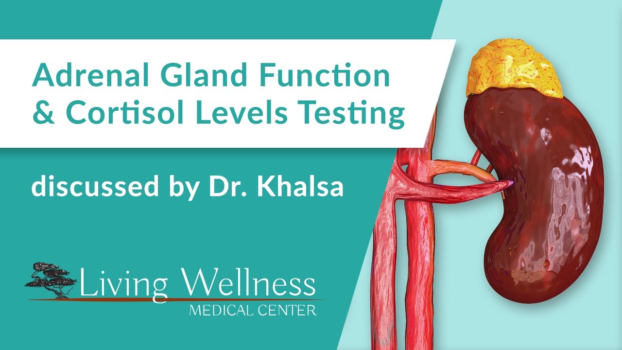 Adrenal gland function and cortisol levels testing with Dr. Khalsa