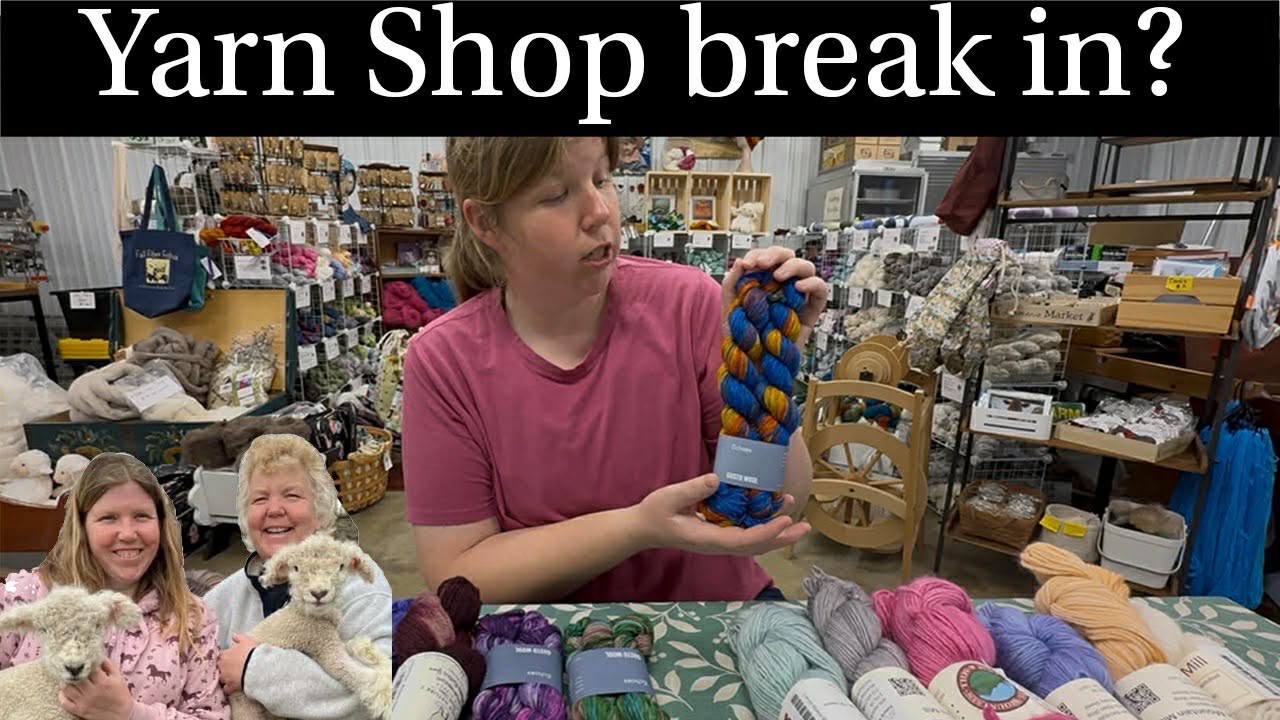 Sheep Ultrasounds, Yarn Review, and a Break In.
