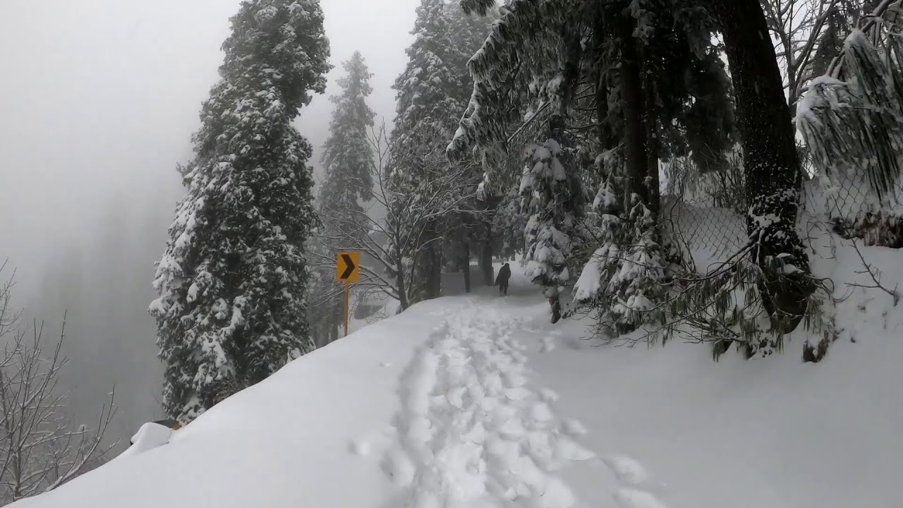 Nathia Gali Snowfall December 2020 l Call of Galiyat Mountains l Winters Wonderland