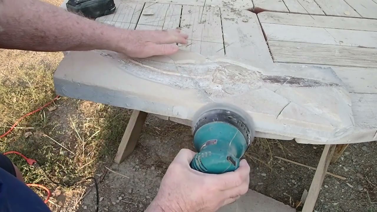 Fixing up a Fossil Saw Fish Shark From Lebanon