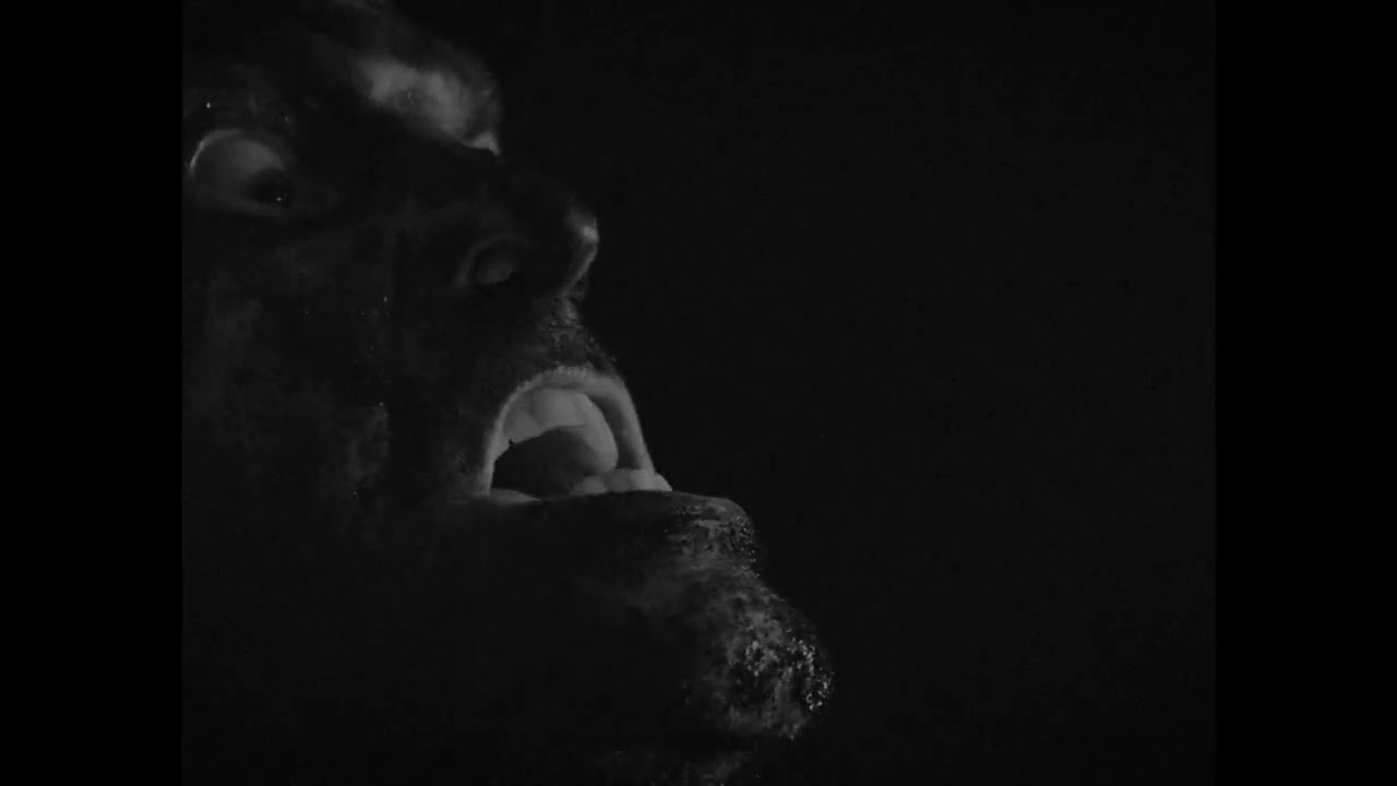 Within The Smoke - Music Video