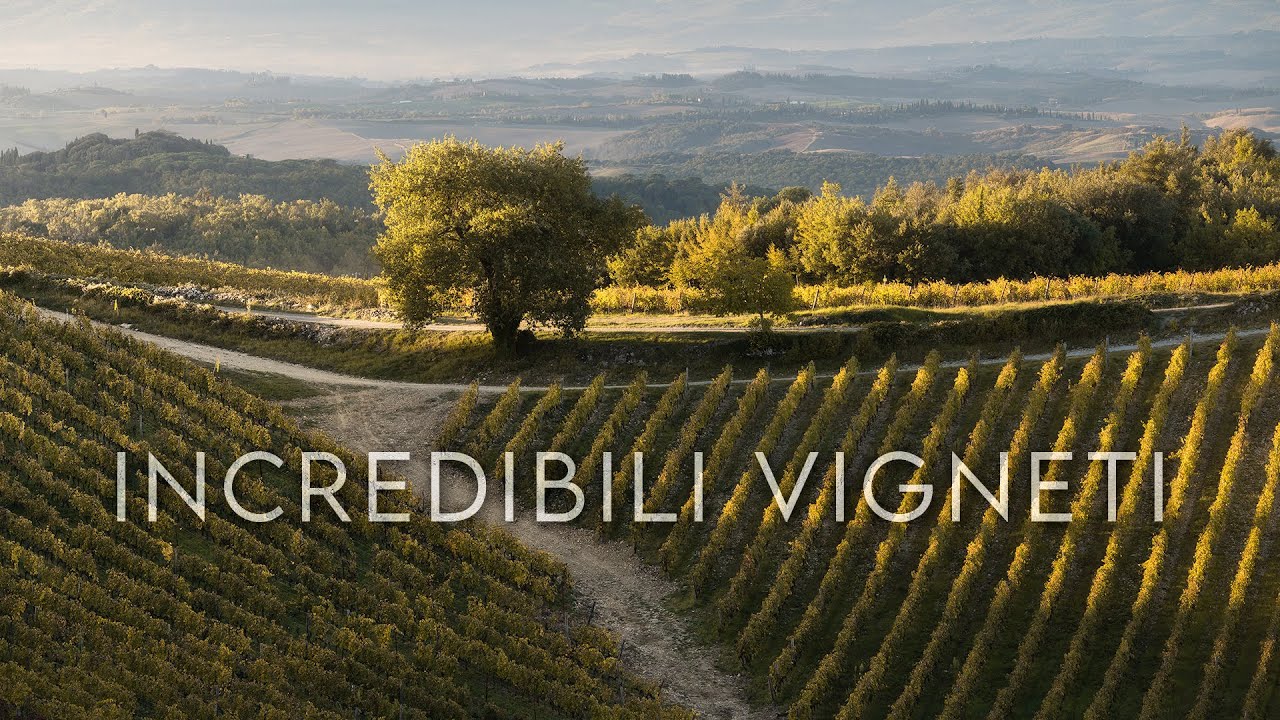Le INCREDIBILI GEOMETRIE dei vigneti del CHIANTI in AUTUNNO | Vlog fotografia di PAESAGGIO