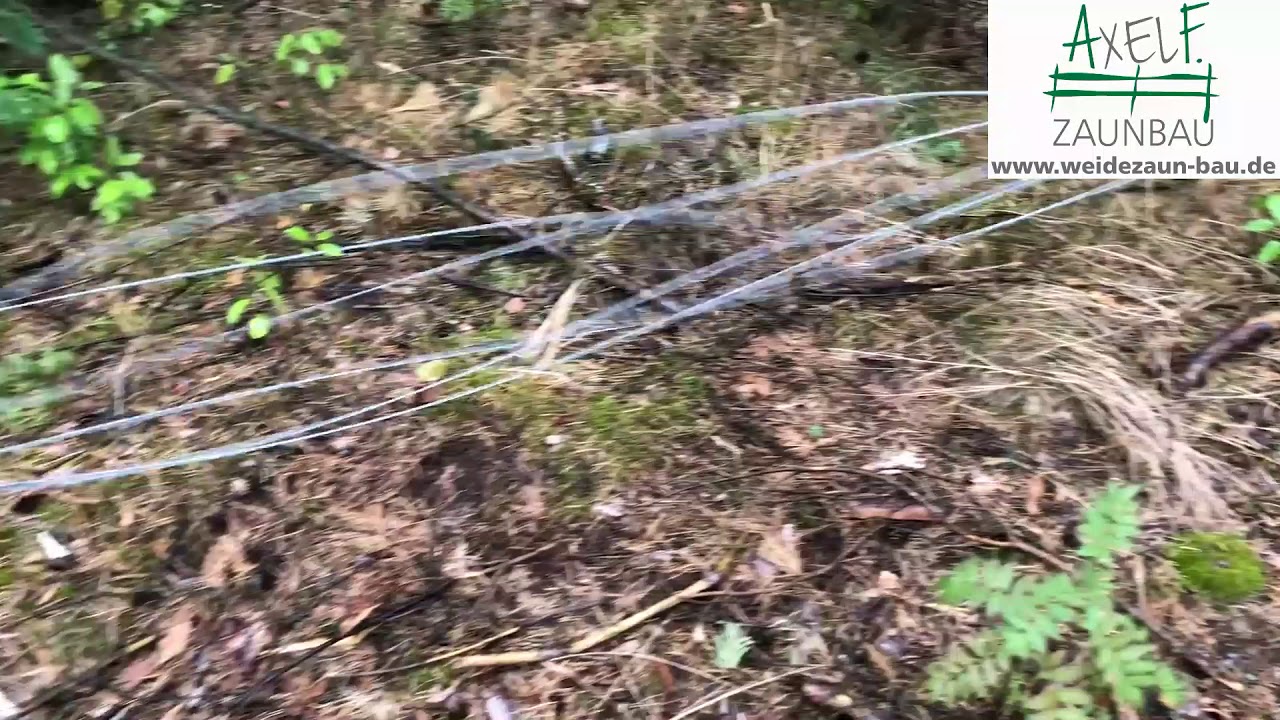 Glattdraht Aufrollen nach Sturmschaden mit Axel F dem Zaunbauer - wir rollen auch Stacheldraht auf!