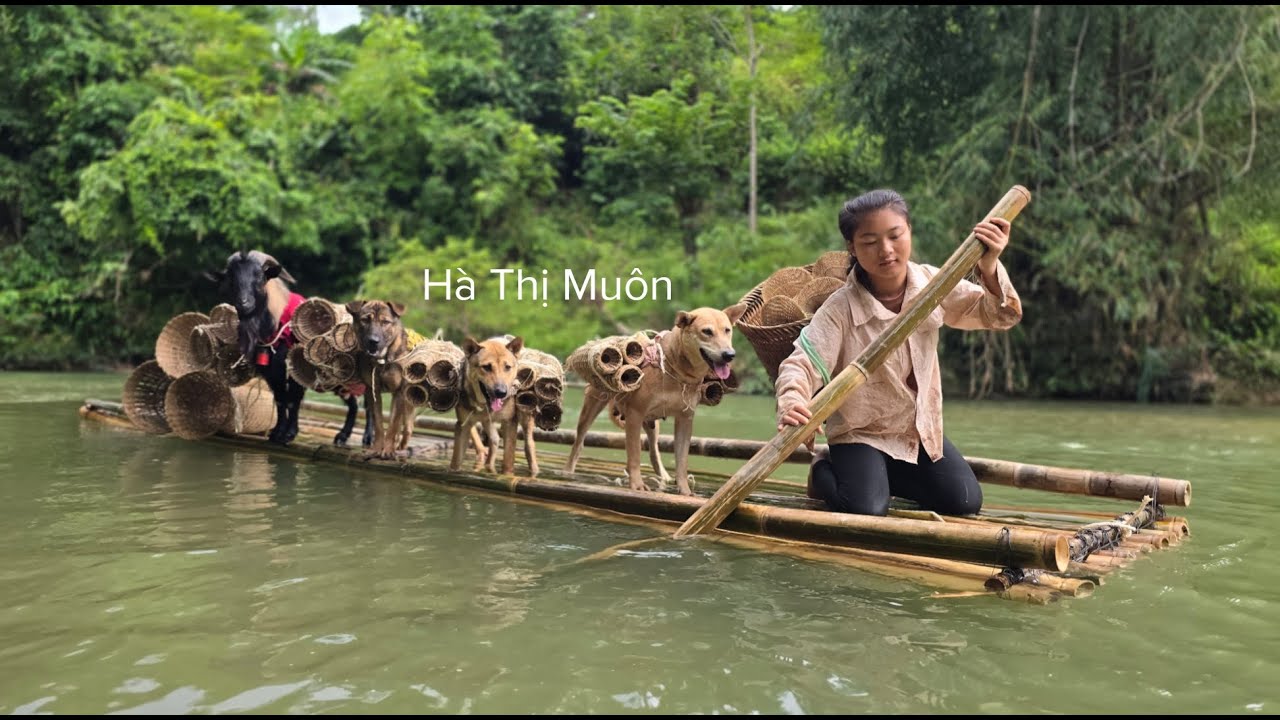Vietnamese girl builds bamboo raft with dog and goat to trap fish for a living