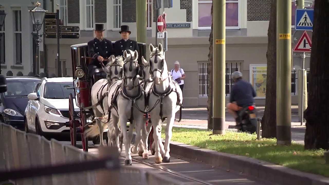 koets 4 witte paarden