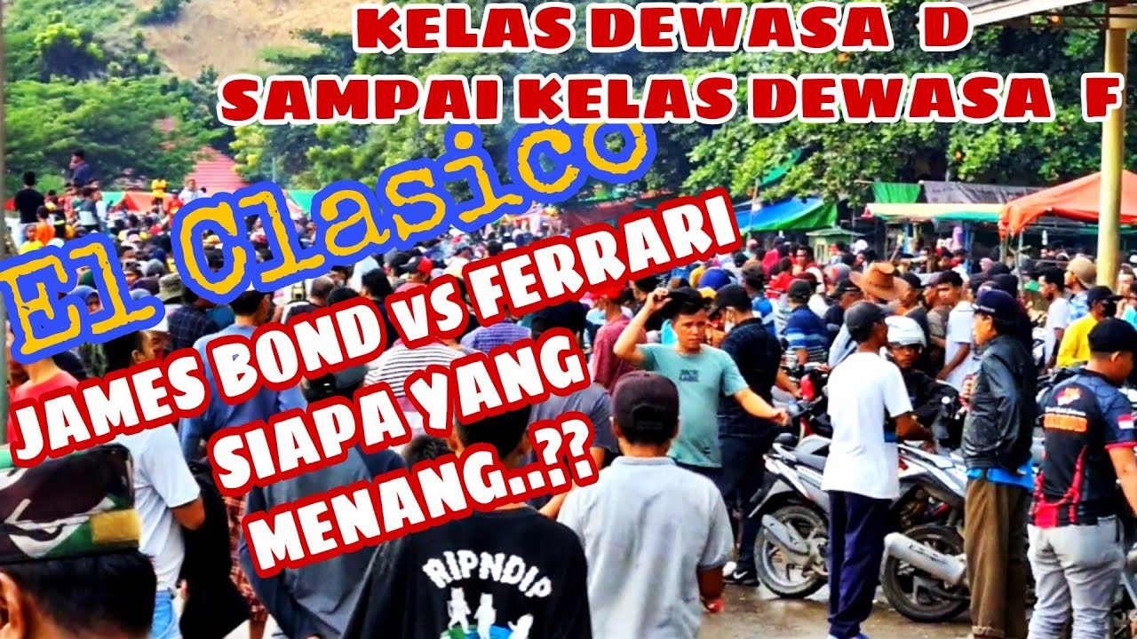 Partai Semifinal Pacuan Kuda Panda Bima || Partai memperbutkan Tiket Termahal || #racehorse