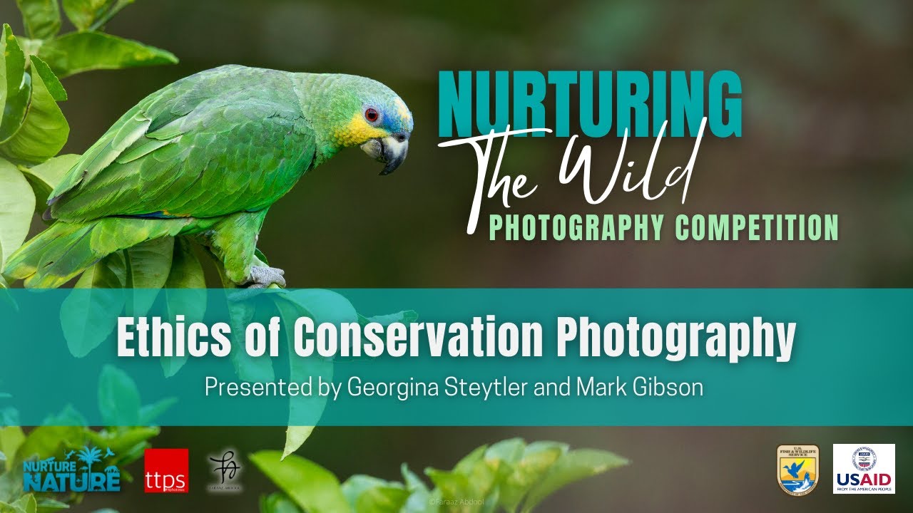 Ethics of Conservation Photography