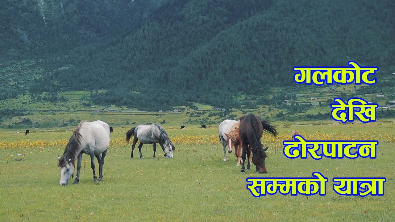 From Galkot to Dhorpatan Hunting Reserve - Behind the Scenes