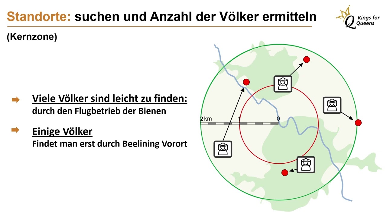 Paarungsplätze für Bienenköniginnen finden und bewerten mit Beelining