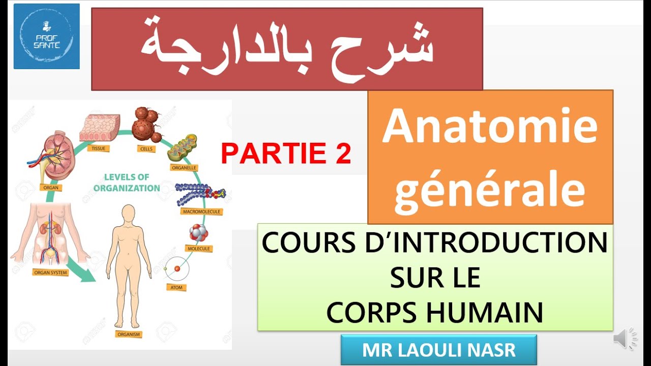 شرح بالدارجة  L'ANATOMIE (Généralités) : COURS D’INTRODUCTION SUR LE CORPS HUMAIN