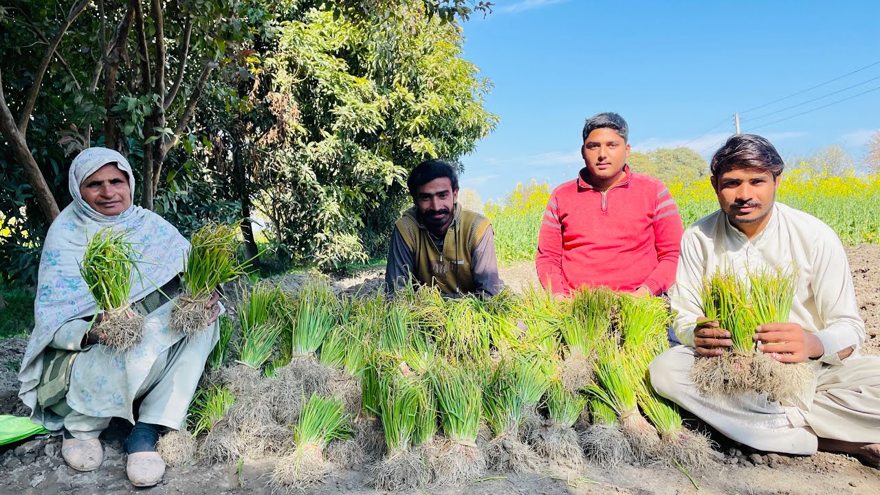 Zindagi Ma Hy Ab Mazy Mazy // lot Of Work With Lot Of Fun 🥰🥰