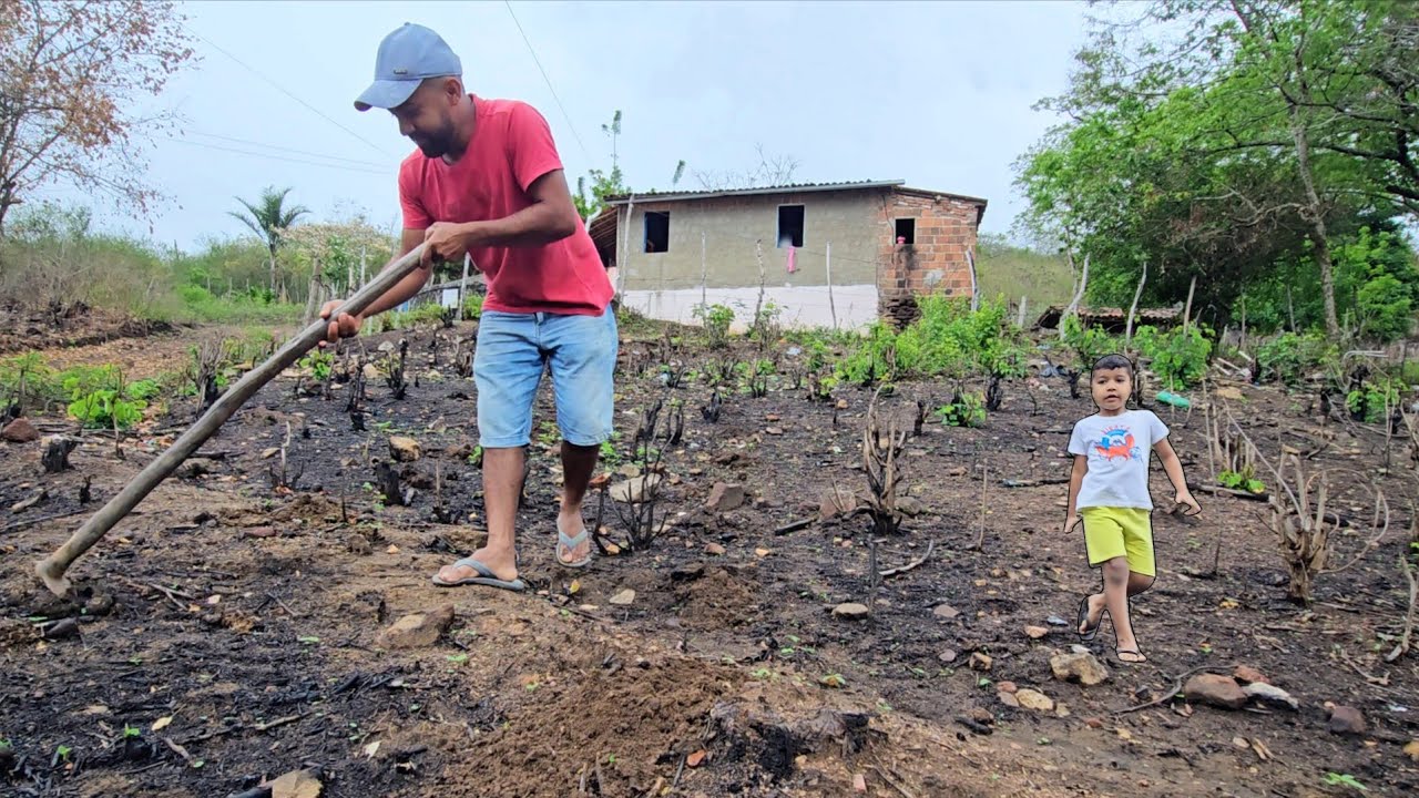 Após as chuvas plantei o roçado daqui de perto de casa graças a Deus ⛈️ 
