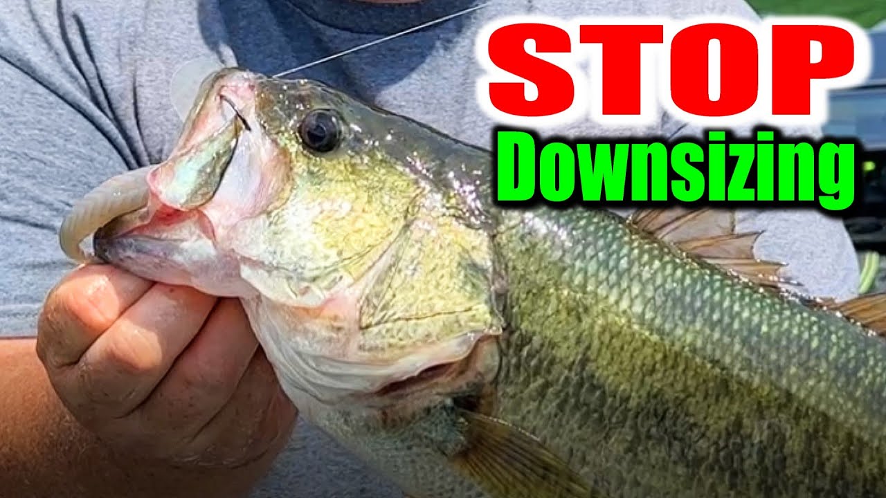Why Downsizing Fails in Tough Conditions (Try THIS Instead!)