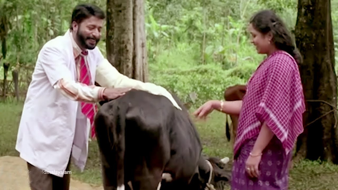 ഹരിശ്രീ അശോകൻ ചേട്ടന്റെ കലക്കൻ കോമഡി സീൻ | Harisree Ashokan Comedy Scenes | Malayalam Comedy Scenes