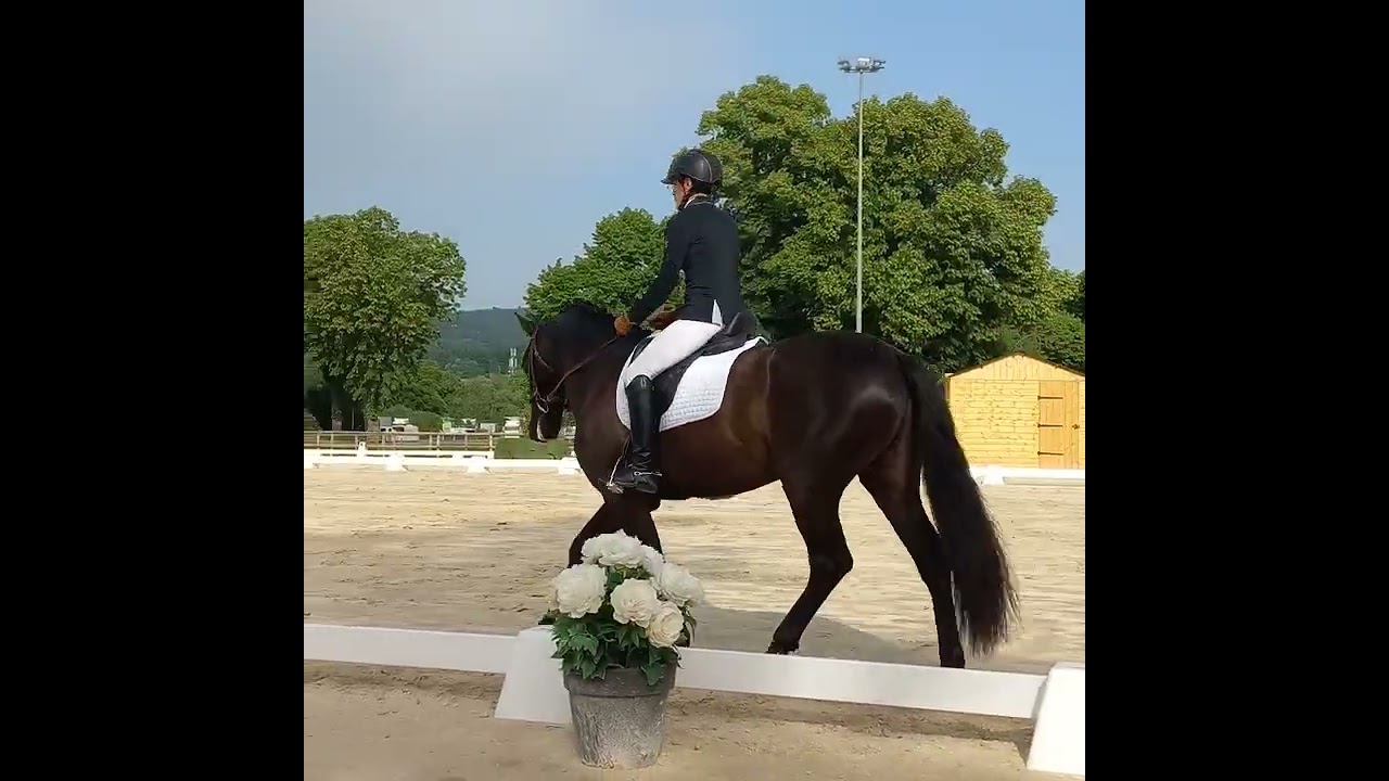 Amateur 2 Grand Prix