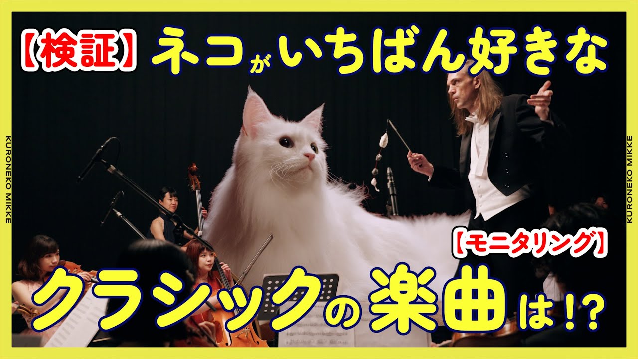 【検証】ネコがいちばん好きなクラシック音楽の楽曲は！？