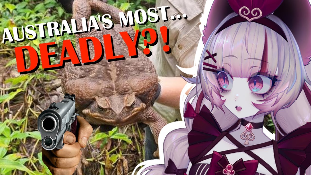 Australia Was TRAUMATIZED | The Toad that BROKE Australia | More parz reaction | Vtuber