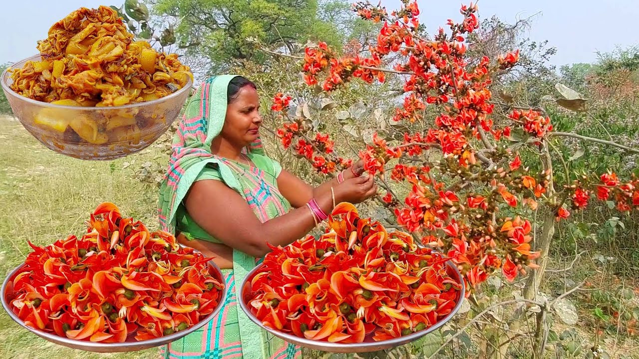 पलाश के फूल की सब्जी | स्वास्थ के लिए औषधि गुणकारी अनगिनत फायदे वालि सब्जी | Palash ki recipe