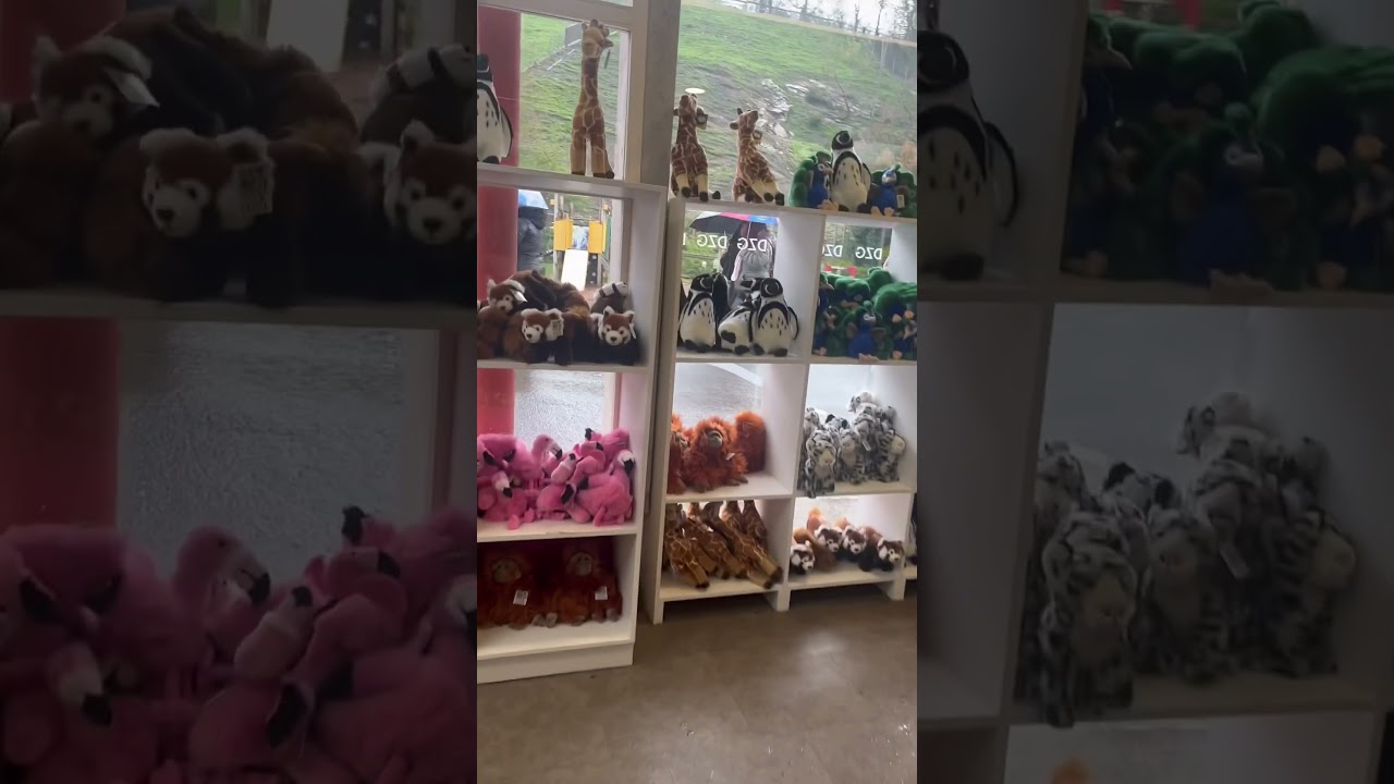 Dudley Zoo - gift shop