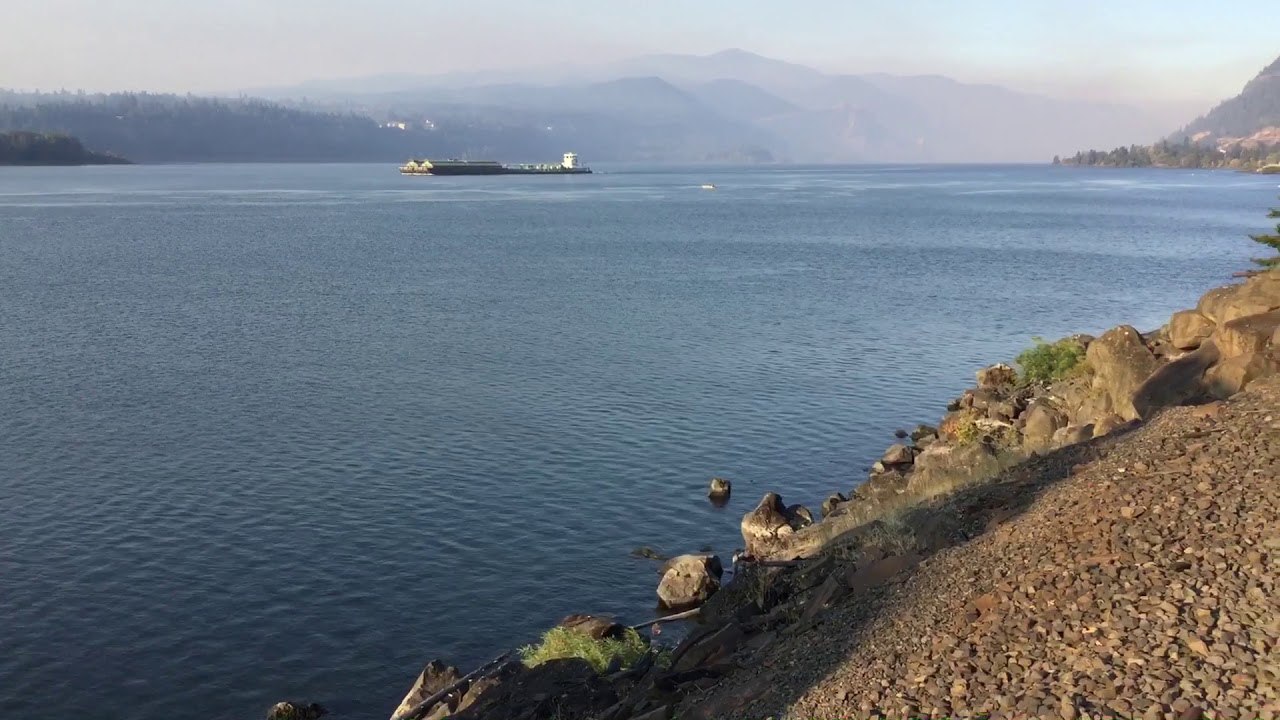 Respirando aire fresco 7:00Am Washington ,state