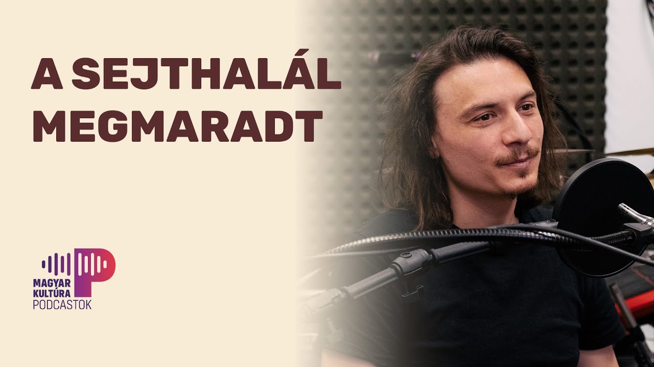 LASSÚ MADÁR | Platon Karataev ⚡ DOB+BASSZUS PODCAST