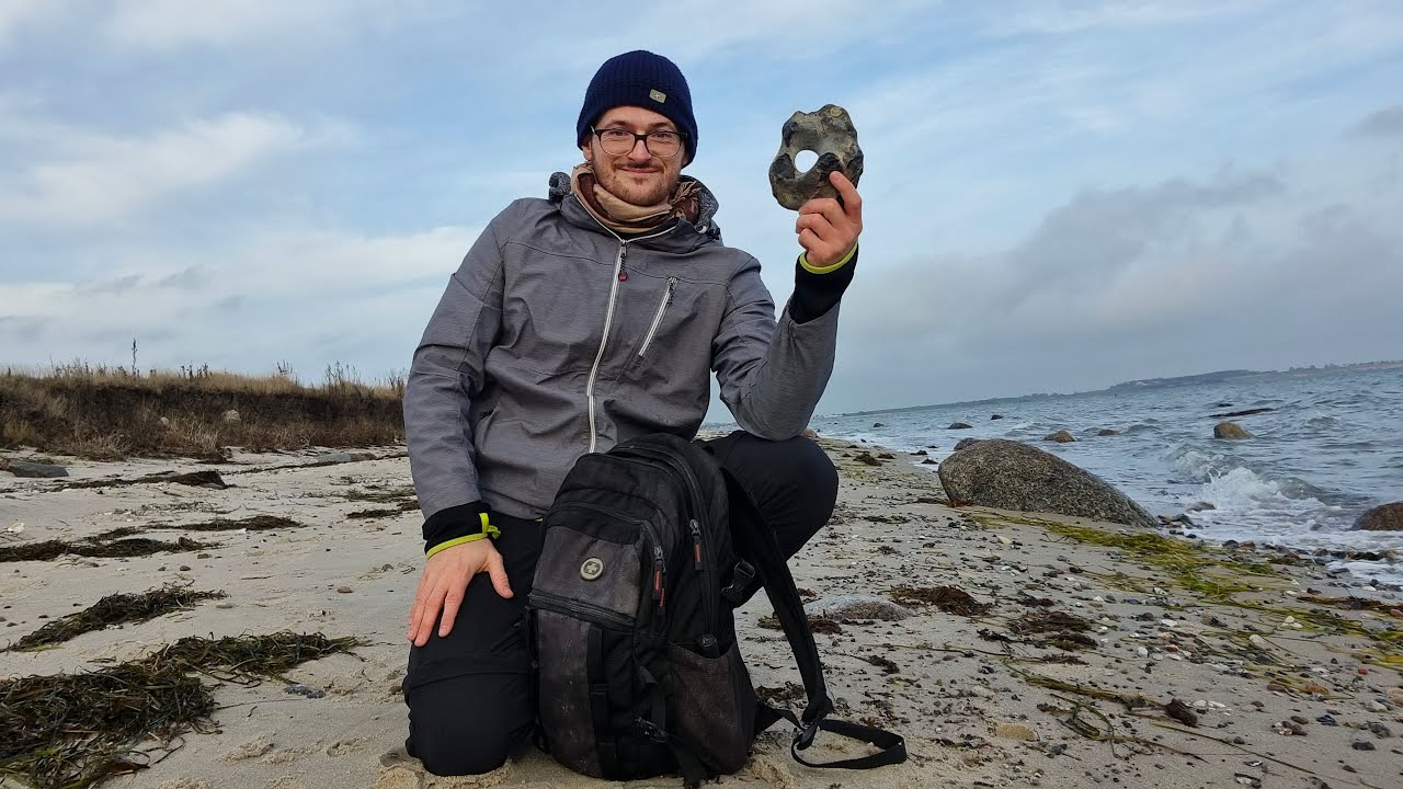 Schöne Funde in Schleswig-Holstein! Fossilien suchen an der Ostsee
