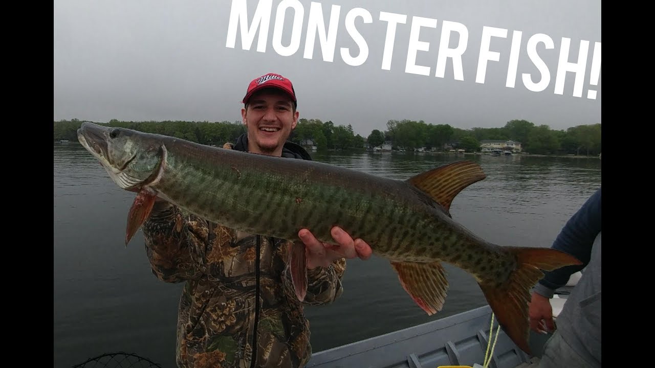 Musky tournament on Little Green Lake