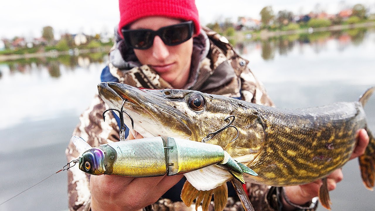 Spinnangeln auf Hechte mit Swimbaits: Test 