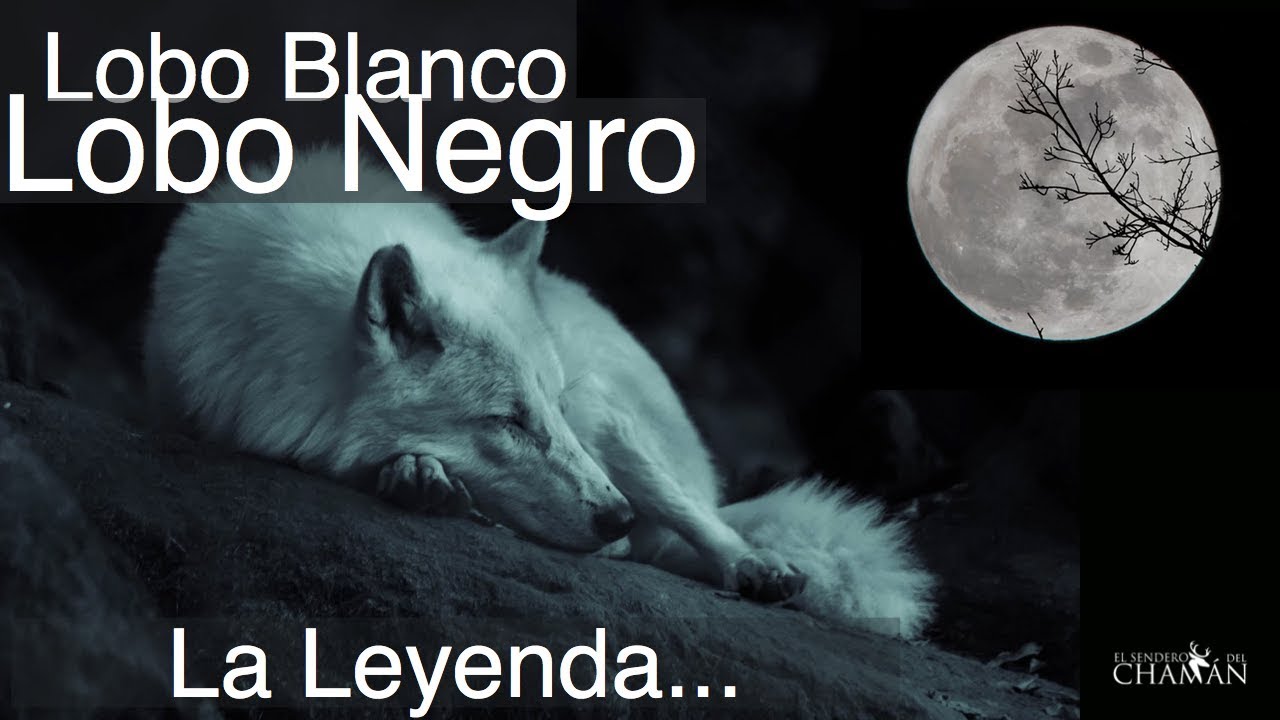 La Leyenda del Lobo Blanco y el Lobo Negro