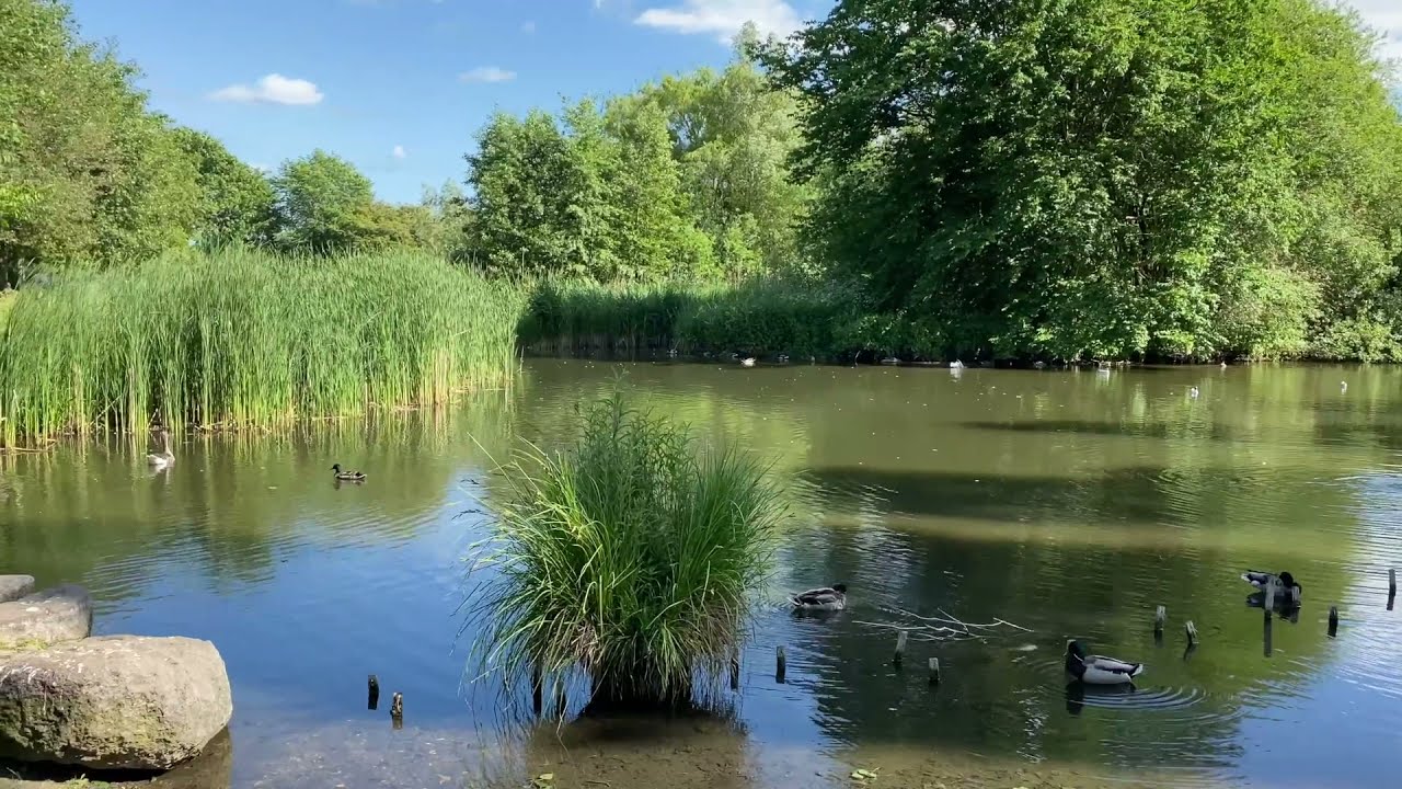 Danish Summer-2021 | Trip to Valbyparken