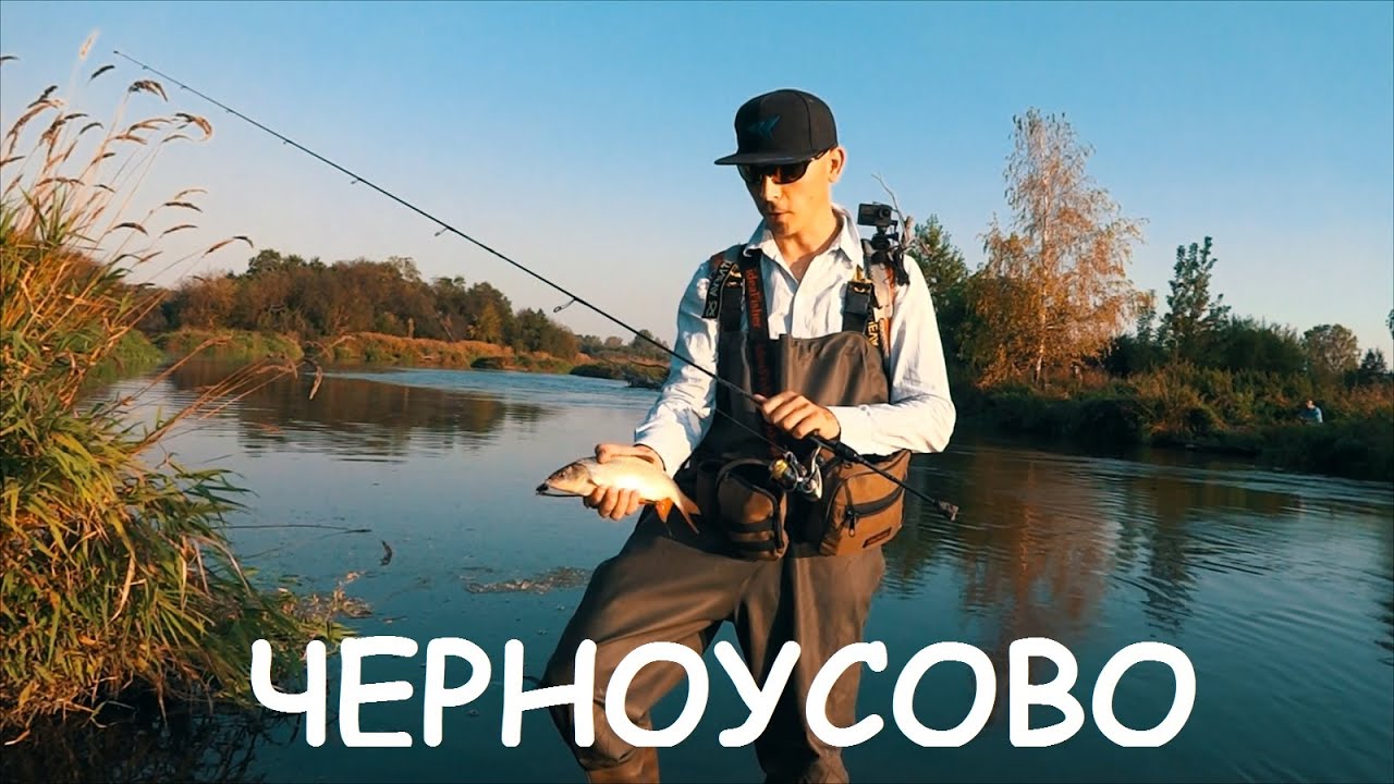 ЧЕРНОУСОВО. Рыбалка-разведка. Микроокуни, наносудаки и мерные язи.