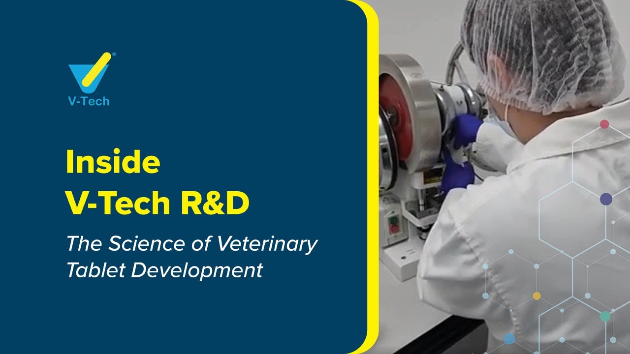 Inside V-Tech R&D: The Science of Veterinary Tablet Development