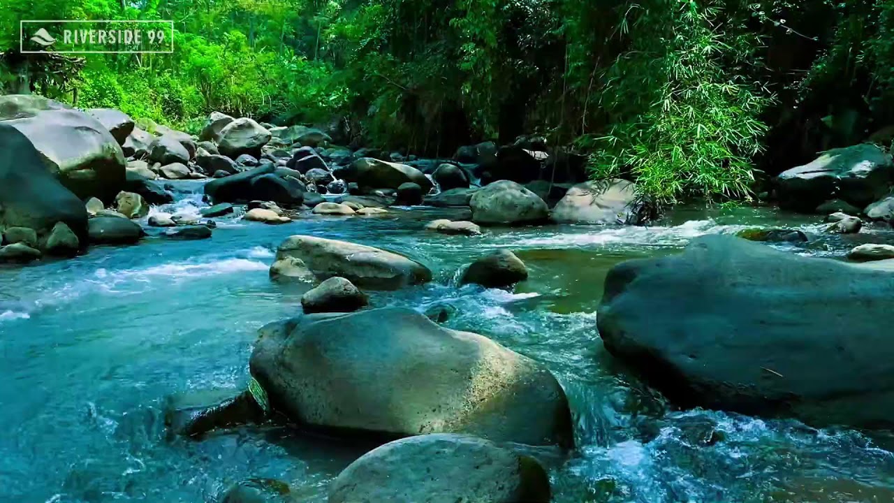 Mountain River Flowing Sounds 24/7 for Sleeping | Nature Water Sounds White Noise for Relaxation #5