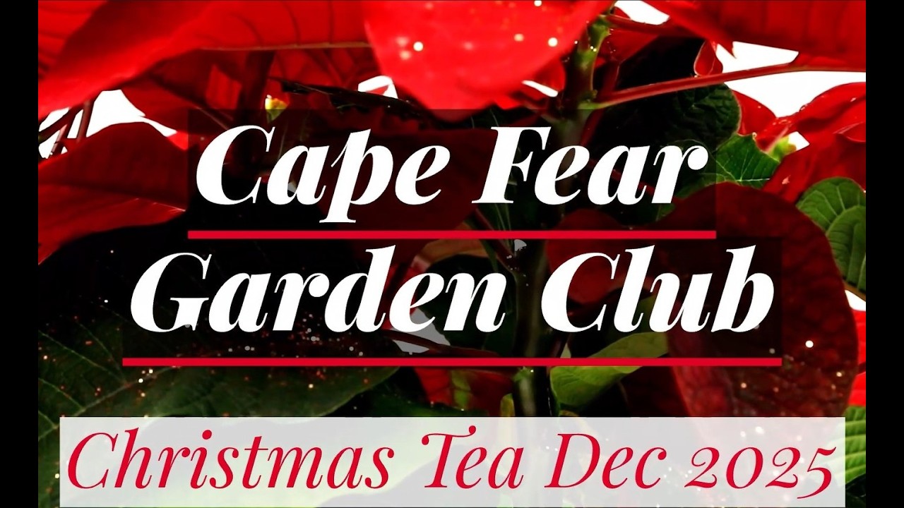 Christmas Tea Dec 2025 V8 1080p 1