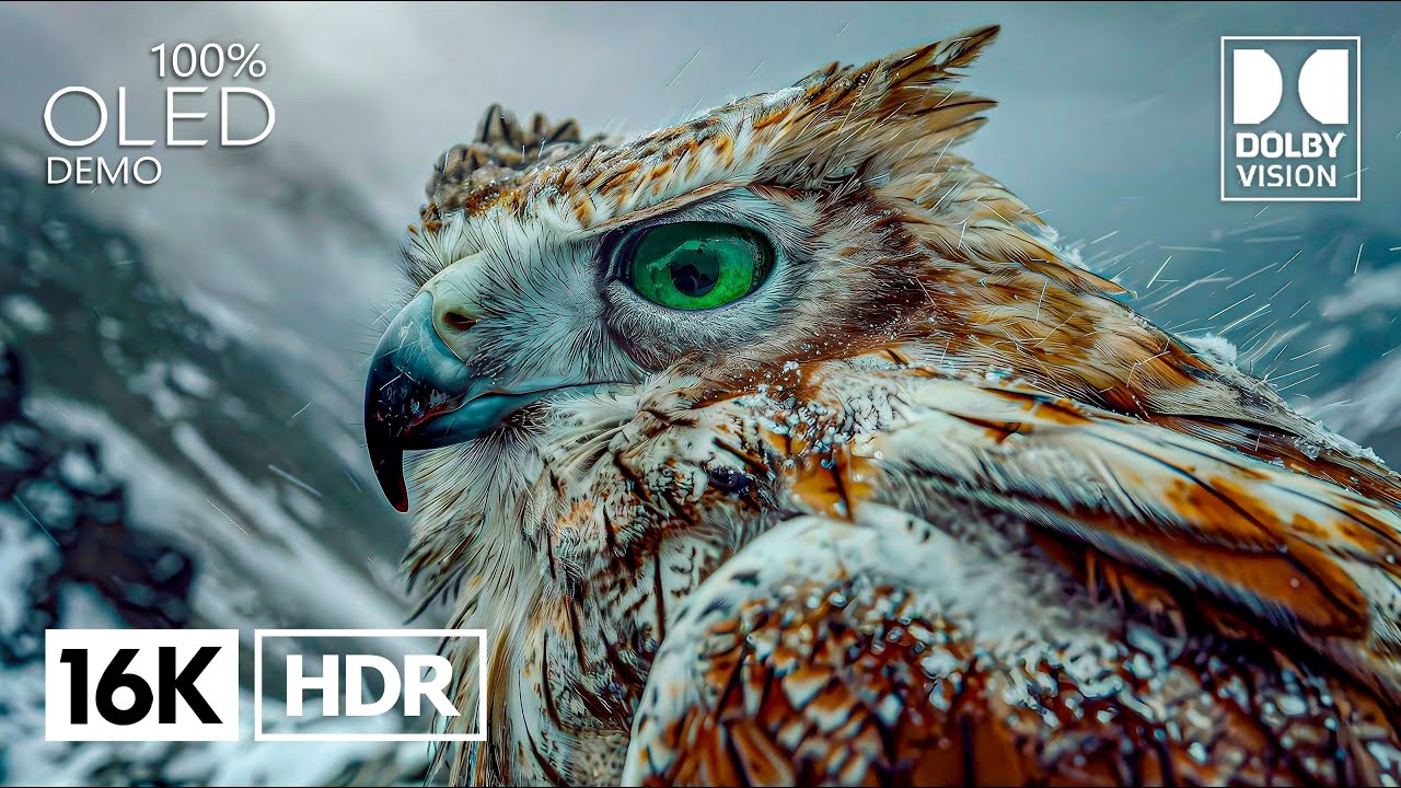 The Coolest 16K Video ULTRA HD | 16K HDR 120 FPS Dolby Vision (4K/8K Video TV)