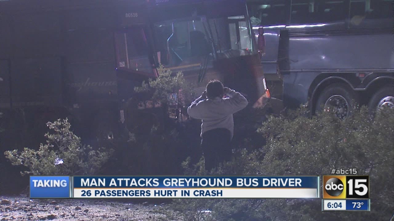 Man forces bus off road