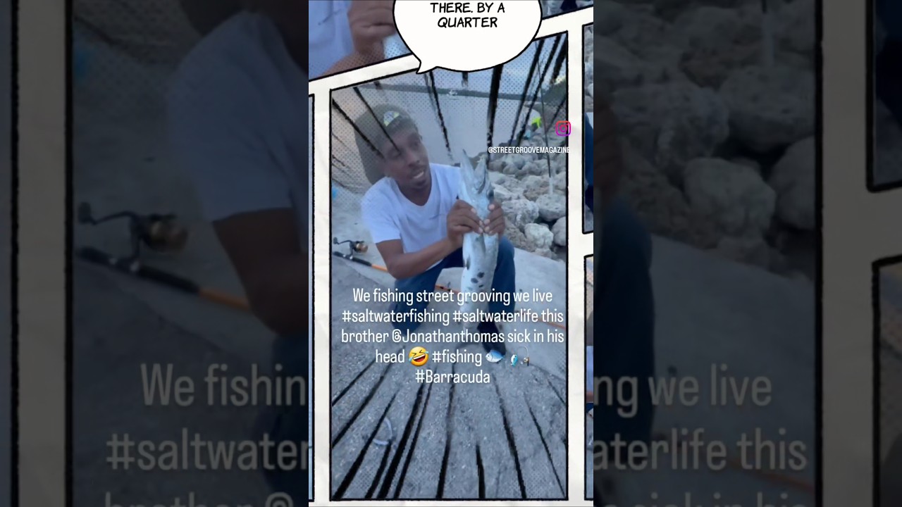 Barracuda Fish in Miami Florida : What a catch  