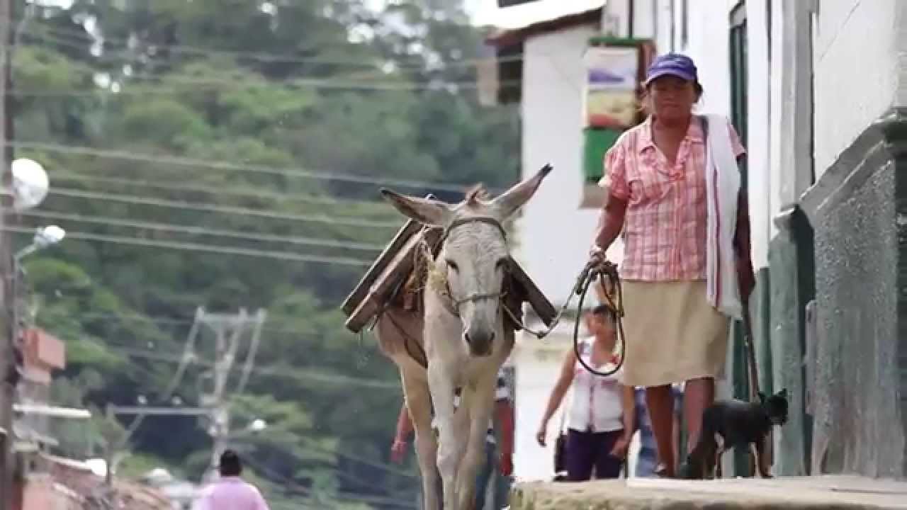 Video Oficial - Himno del Departamento de Casanare