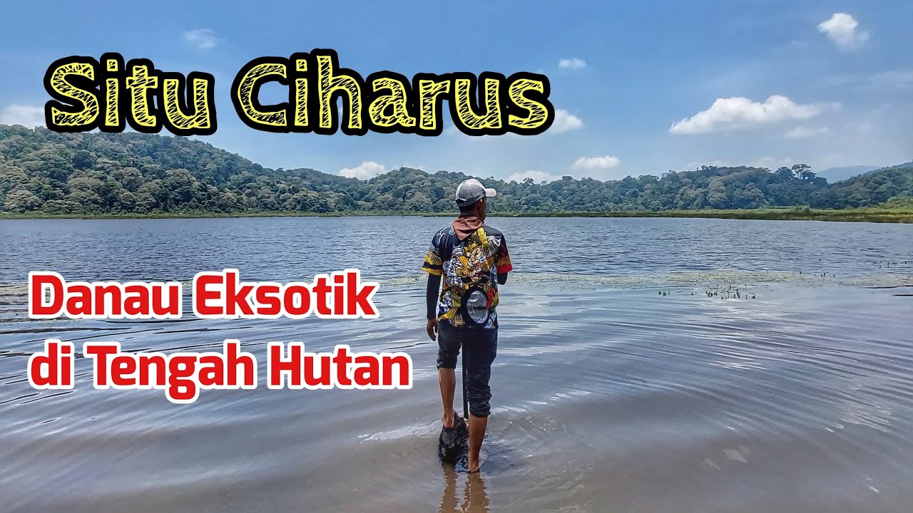 Hiking Santai Situ Ciharus di Tengah Hutan Kamojang Bandung