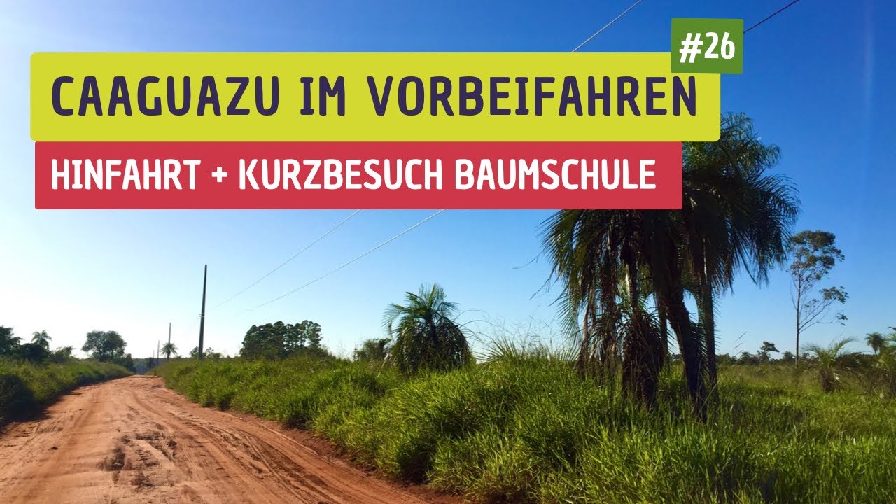 #26 Stadtfahrt Caaguazu - Fruchtoase Paraguay
