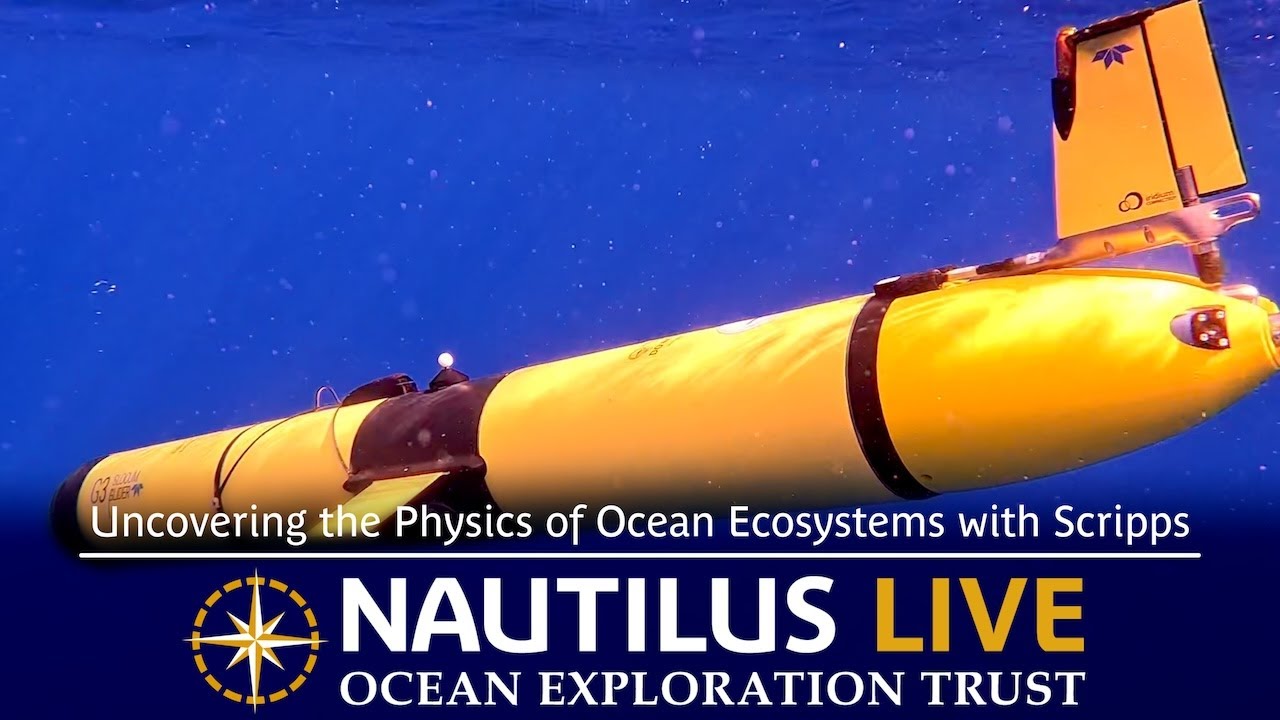 Uncovering the Physics of Ocean Ecosystems with Scripps | Nautilus Live