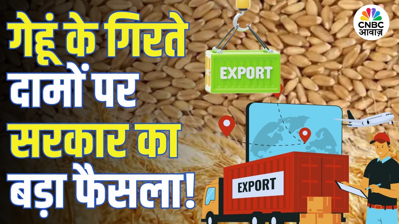 गेहूं के दाम गिरते ही सरकार का एक्शन, 25 लाख टन गेहूं एक्सपोर्ट की मिली मंजूरी! | Wheat Export