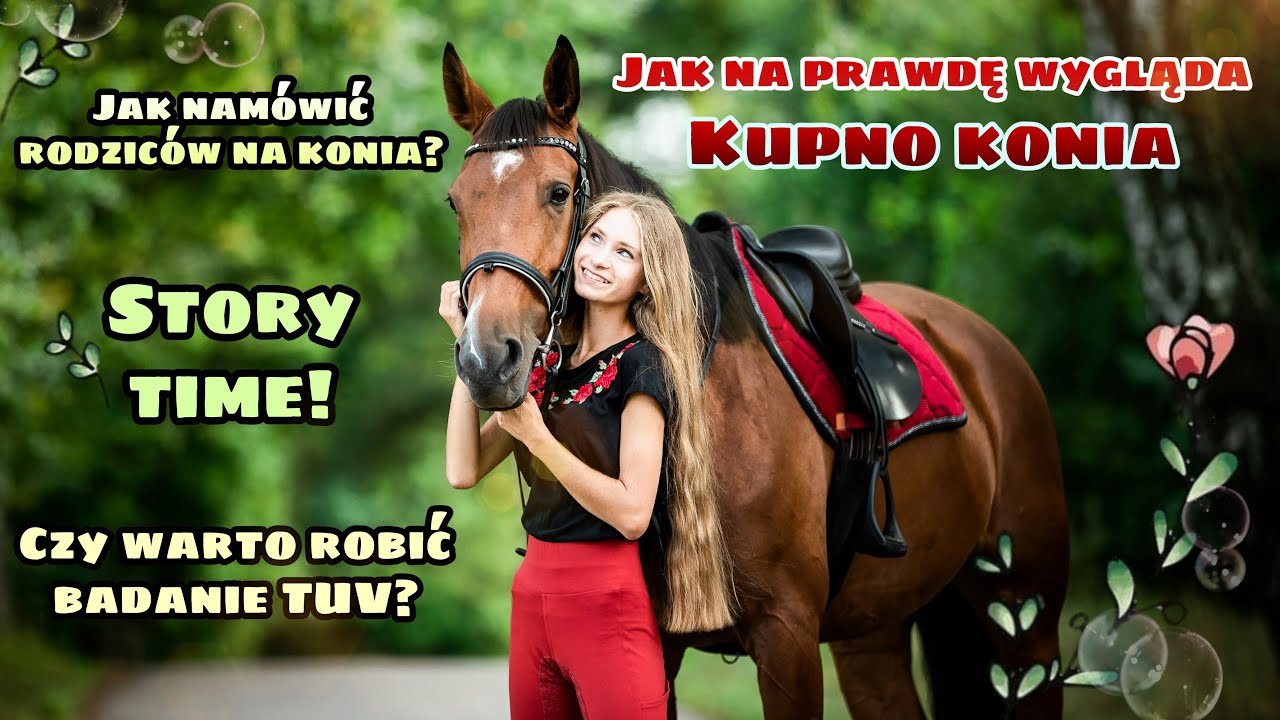 Kupno konia - jak to naprawdę wygląda? + STORY TIME