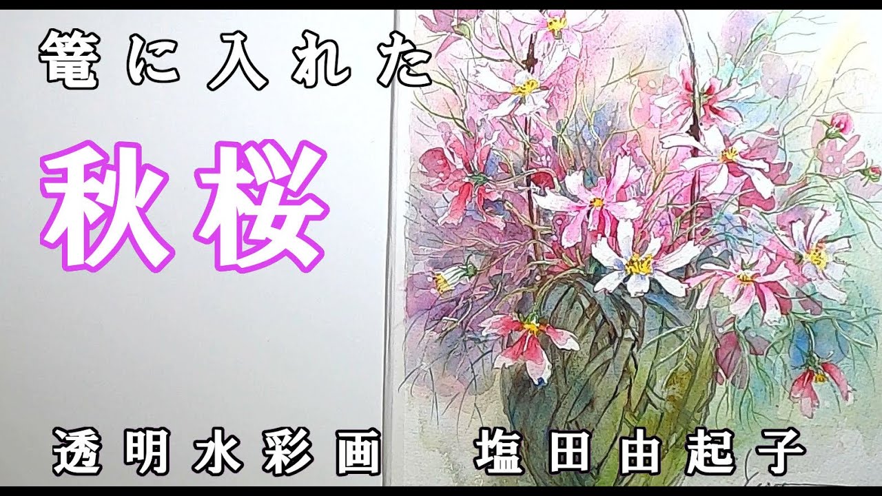 【透明水彩画】篭に入れた秋桜